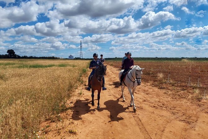 Granada & Sierra Nevada Horse Riding Tour - The Experience at the Ranch and Beyond