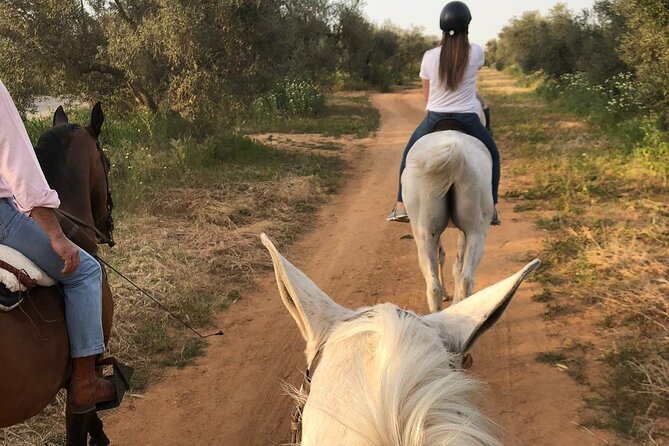 Granada & Sierra Nevada Horse Riding Tour - The Practicalities of the Tour