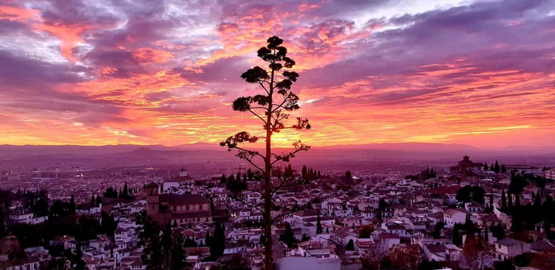 Granada: "Street Art & The Caves" Unique Guided Walking Tour - Practical Details: Meeting Point and Group Size