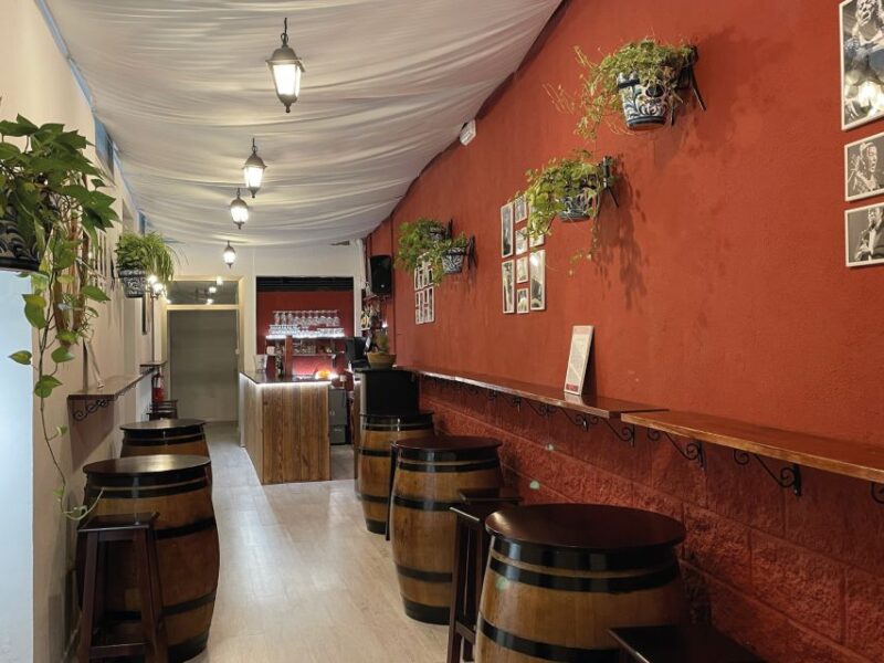 Granada: Traditional Flamenco Show at Tablao Casa Ana - The Atmosphere and Audience Engagement