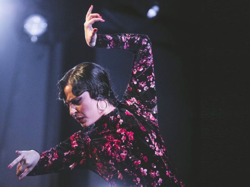 Granada: Traditional Flamenco Show at Tablao Casa Ana - Limitations and Things to Consider