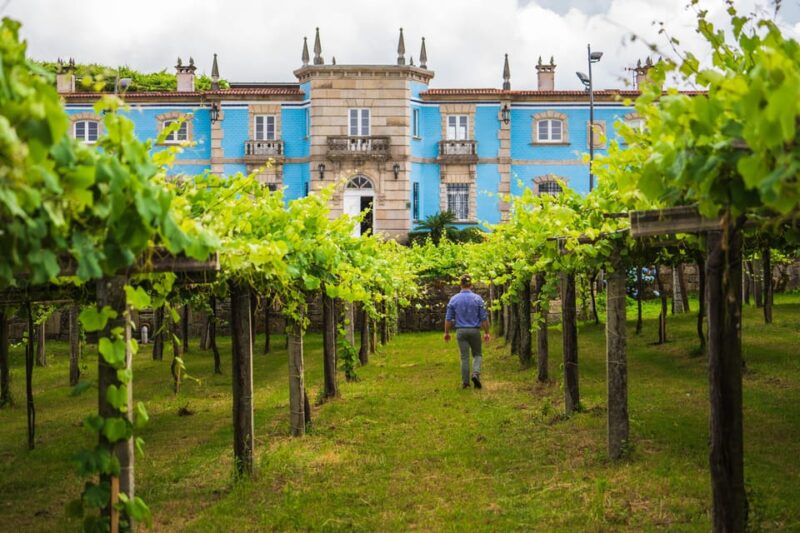 Granbazán Winery: Guided Tour and Wine Tasting - In-Depth Look at Granbazán’s Wine Production