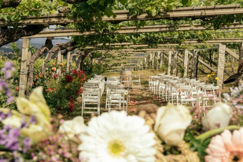 Granbazán Winery: Guided Tour and Wine Tasting - Practical Information: Meeting Points and Accessibility