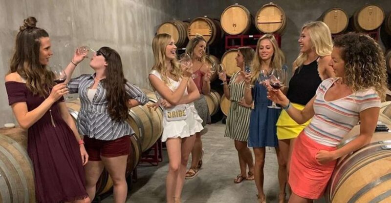 Granbury: Wine Tour with Charcuterie and Local Tastings - Exploring Local Wineries in Granbury