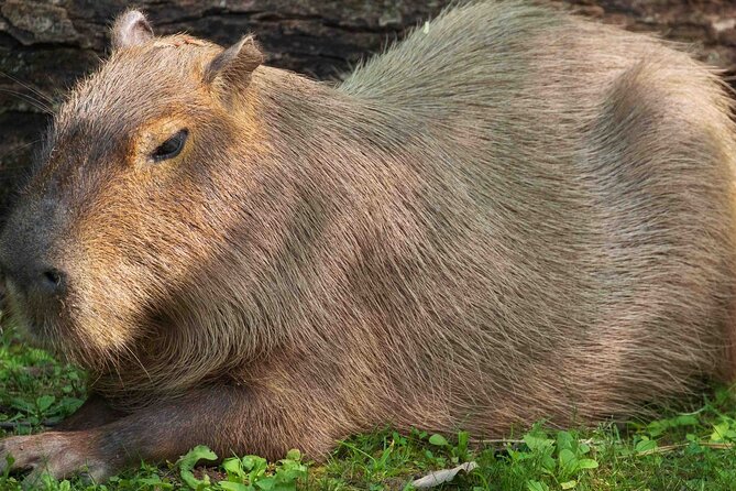 Granby Zoo 1 Day - Key Points