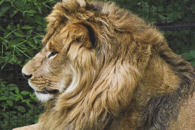 Granby Zoo 1 Day - The Morning Fruit Picking Option