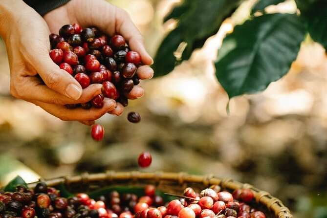 Granby Zoo 1 Day - The Itinerary: What to Expect During Your Day