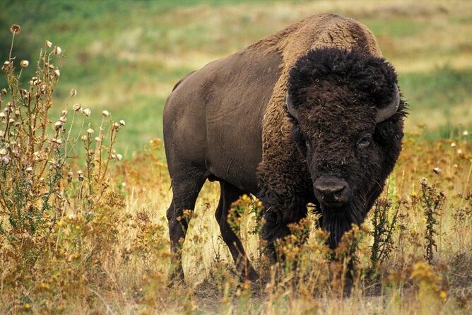 Granby Zoo 1 Day - The Unique Features: From Water Parks to Themed Attractions