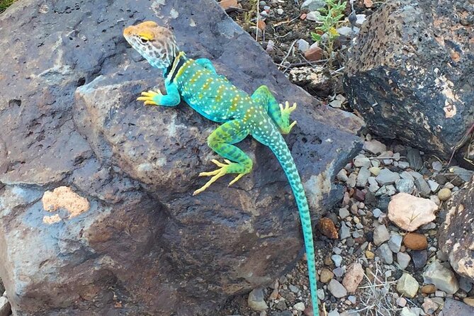 Grand Canyon + Ancient Ruins + Volcano Full Day Christian Tour - Exploring the Grand Canyon’s Best Overlooks and Biblical Context