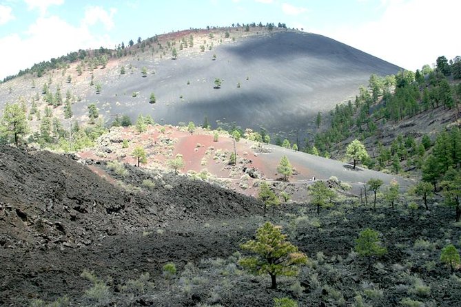 Grand Canyon Complete Day Tour from Sedona or Flagstaff - The Role of the Guide and Group Experience