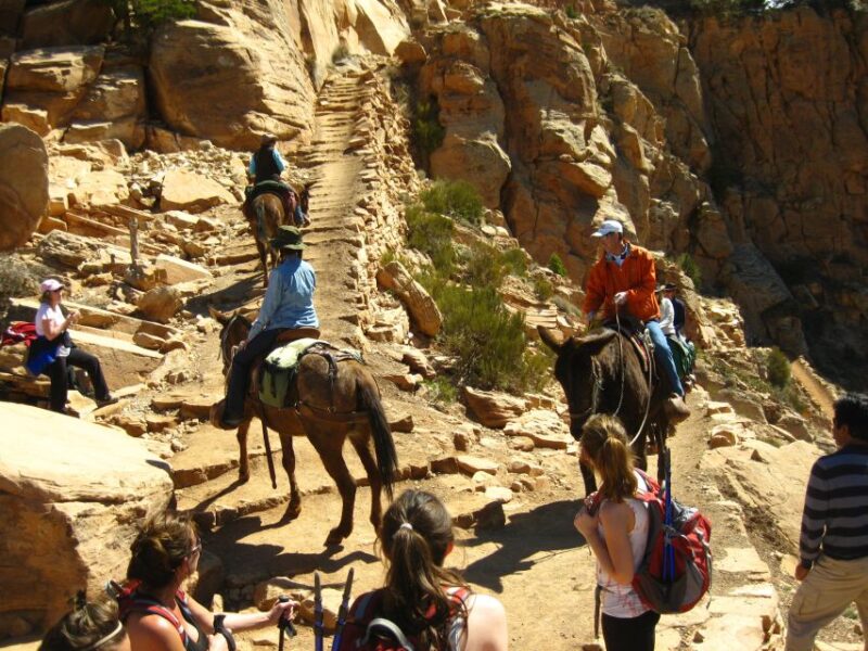 Grand Canyon Full-Day Hike from Sedona or Flagstaff - Explore the Grand Canyon with a Full-Day Hike from Sedona or Flagstaff