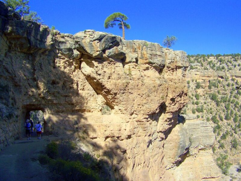 Grand Canyon Full-Day Hike from Sedona or Flagstaff - Physical Preparation and What to Bring