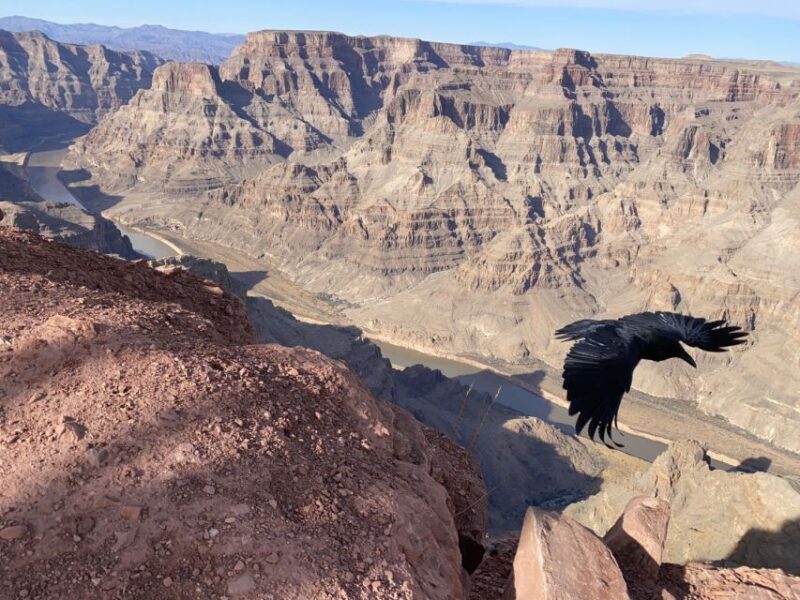 Grand Canyon & Hoover Dam: Private Tour from Las Vegas - Cultural Experience and Culinary Delights at Grand Canyon West