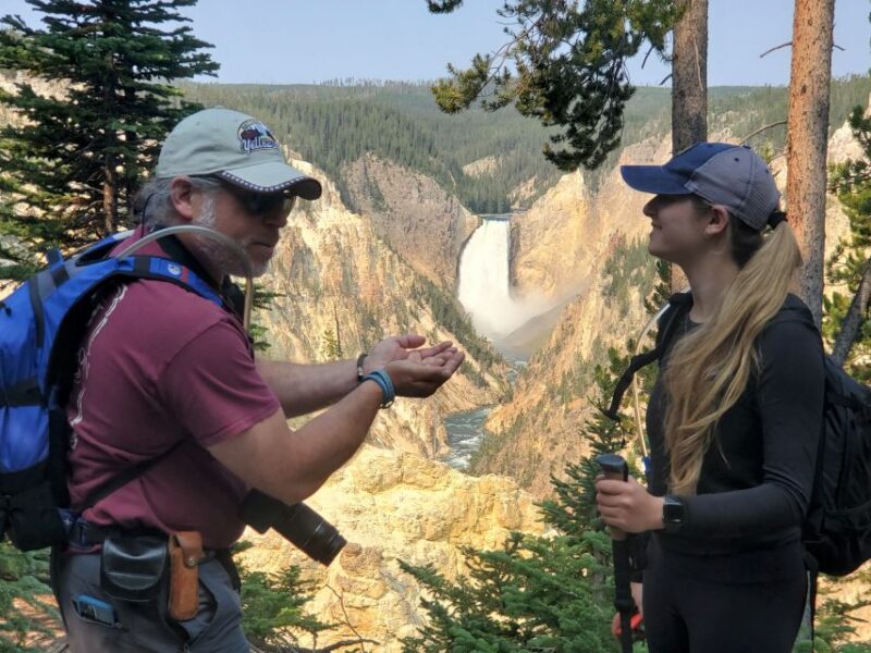 Grand Canyon of the Yellowstone: Loop Hike with Lunch - Summary of the Experience’s Highlights