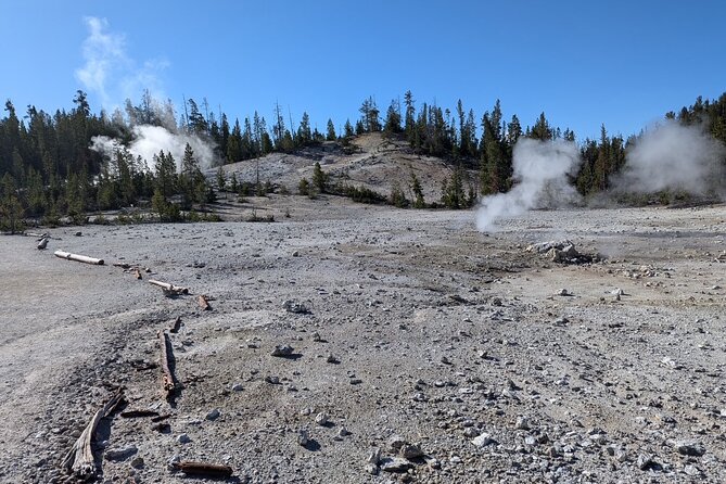 Grand Canyon of Yellowstone Hiking Adventure Full Day with Lunch - Exploring the Canyon’s Edge and Forests