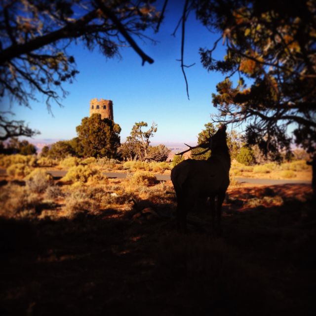 Grand Canyon: Sunset Tour from Biblical Creation Perspective - The Experience of Watching the Sunset