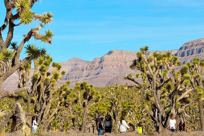 Grand Canyon West Skywalk Hoover Dam Ghost Town Day Tour - Grand Canyon West and the Skywalk Experience