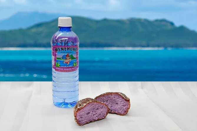 Grand Circle Island and Haleiwa 9 Hour Tour - Time in Haleiwa: Lunch, Shopping, and Coastal Charm