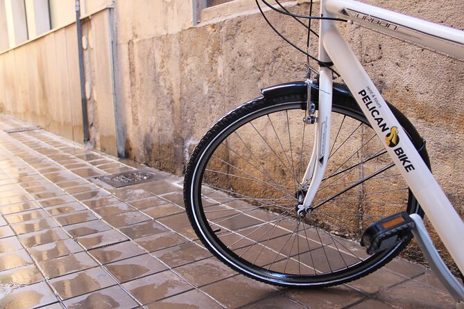 GRAND CITY Private Guided Tour on Bike, E-Bike, E-Step or Segway - Admiring Architectural Marvels: Palacio del Marques de Dos Aguas and Placa de lAjuntament