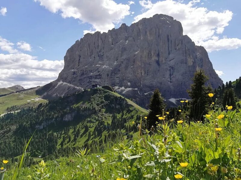 Grand Dolomites Tour to Fiemme & Fassa Valleys & Pordoi Pass - Practical Details and Accessibility