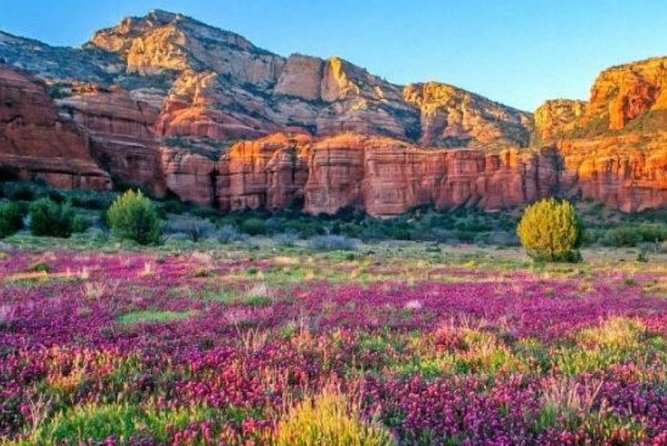 Grand Experience First Class Railroad Excursion Flagstaff - What’s Not Included: Meals and Tips