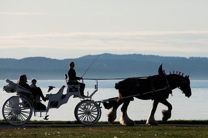 Grand Horse-Drawn Carriage Tour of Victoria - Experience Victoria in Style with a Horse-Drawn Carriage Ride