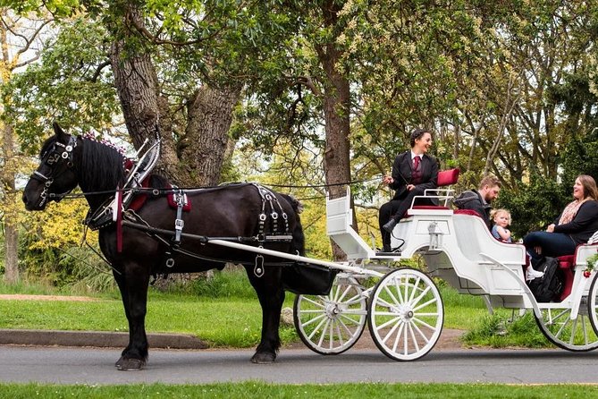 Grand Horse-Drawn Carriage Tour of Victoria - Key Points