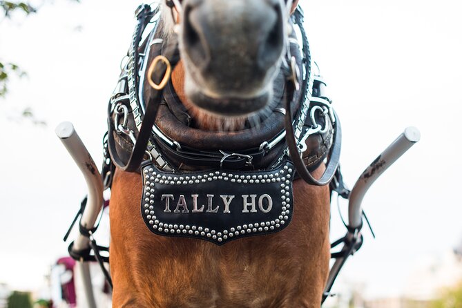 Grand Horse-Drawn Carriage Tour of Victoria - Practical Details: What’s Included and How to Prepare