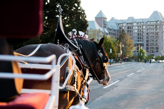 Grand Horse-Drawn Carriage Tour of Victoria - Who Will Love This Carriage Tour?