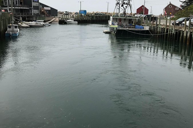 Grand Pre/Bay of Fundy / Hall's Harbour - Practicalities: Meeting Points, Booking, and Cancellation