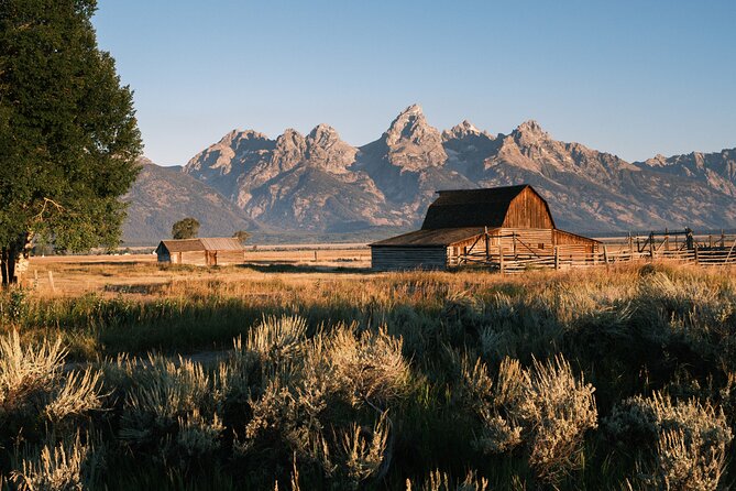 Grand Teton Full Day Private Wildlife & Biking Tour - Discovering the Majesty of the Teton Range and Pristine Lakes