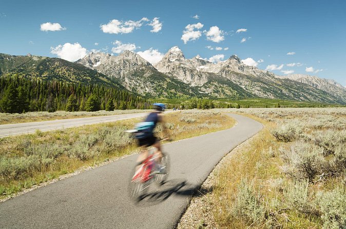 Grand Teton Full Day Private Wildlife & Biking Tour - Midday Gourmet Picnic and Customizable Dietary Options
