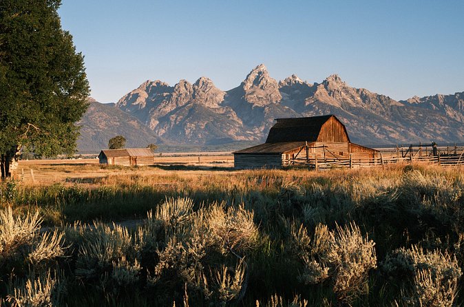 Grand Teton Full Day Private Wildlife & Biking Tour - Practical Logistics and Additional Details