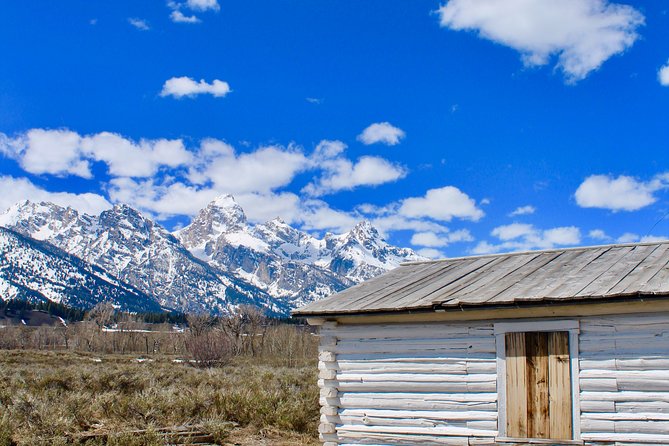 Grand Teton Half Day Tour - Practical Details: Logistics and What’s Included