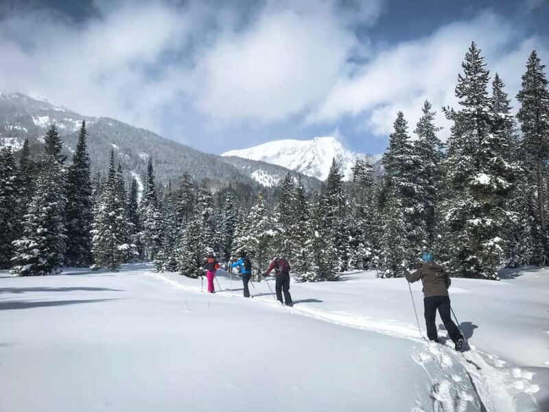 Grand Teton National Park: 4-Hour Beginner Cross-Country Ski - Key Points