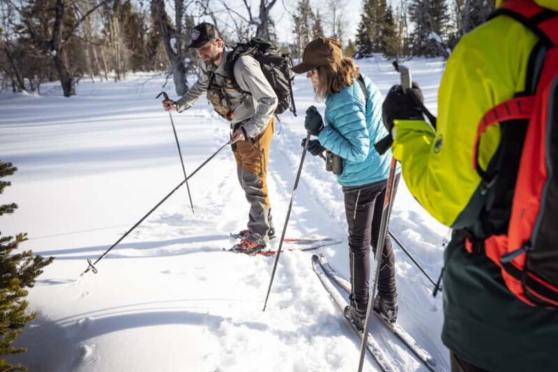 Grand Teton National Park: 4-Hour Beginner Cross-Country Ski - What to Bring and How to Prepare