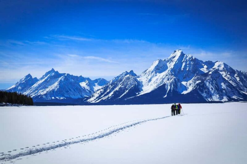 Grand Teton National Park: 4-Hour Easy Snowshoeing Tour - Key Points