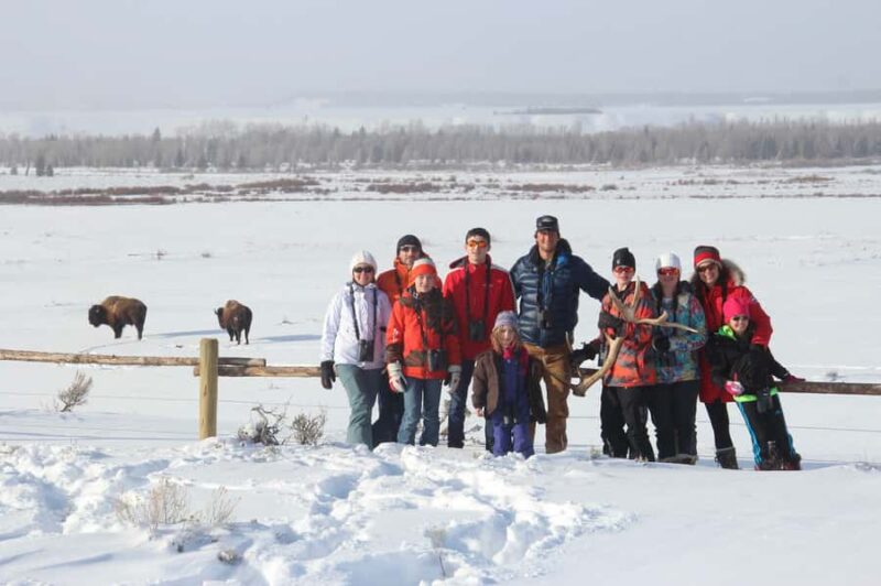 Grand Teton National Park: 4-Hour Easy Snowshoeing Tour - Route Options and Scenic Highlights