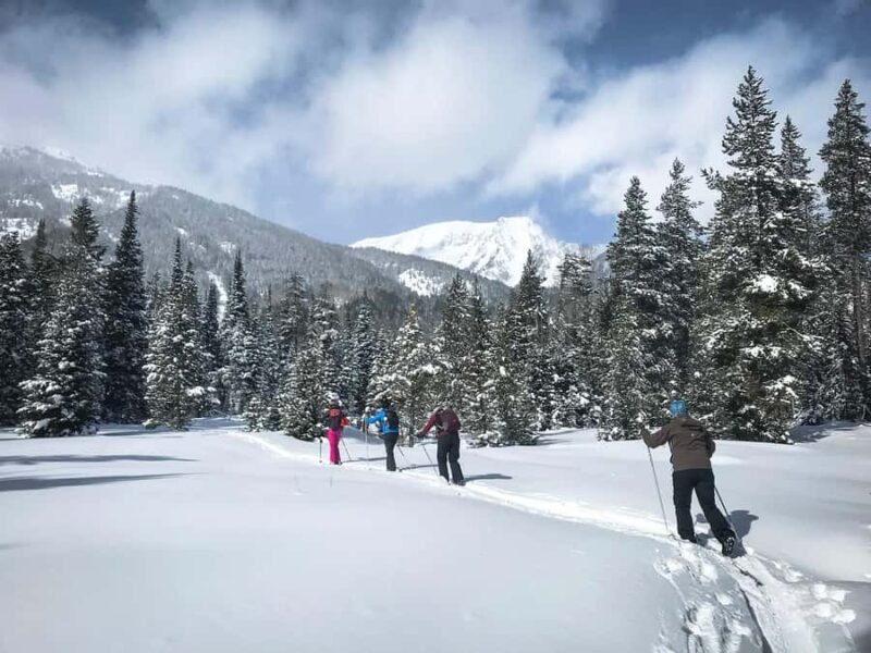 Grand Teton National Park: 4-Hour Easy Snowshoeing Tour - Food and Snacks During the Tour
