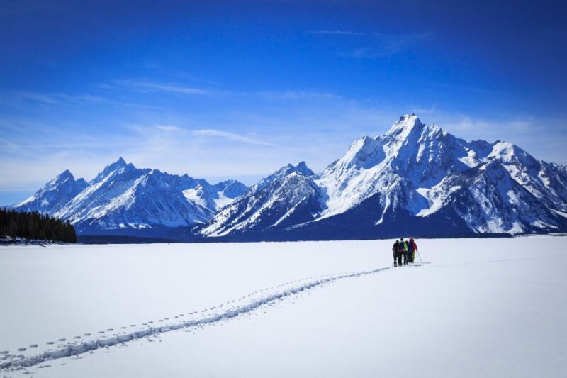 Grand Teton National Park: 4-Hour Easy Snowshoeing Tour - Why This Snowshoeing Tour Stands Out in Grand Teton