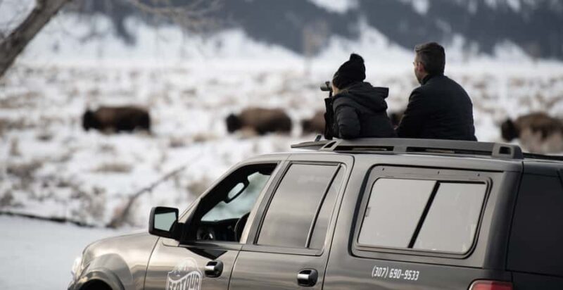 Grand Teton National Park: 8-Hour Willdlife & Snowshoe Tour - Key Points