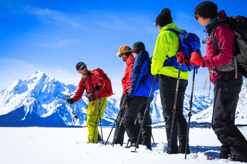 Grand Teton National Park: 8-Hour Willdlife & Snowshoe Tour - Suitability and Physical Requirements