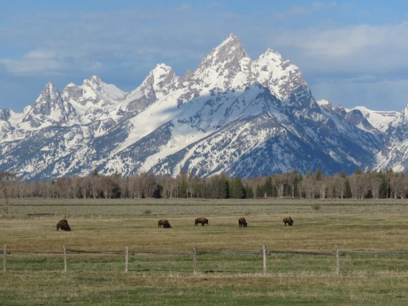Grand Teton National Park: Full-Day Tour with Boat Ride - Learning About the Parks Natural Features and History