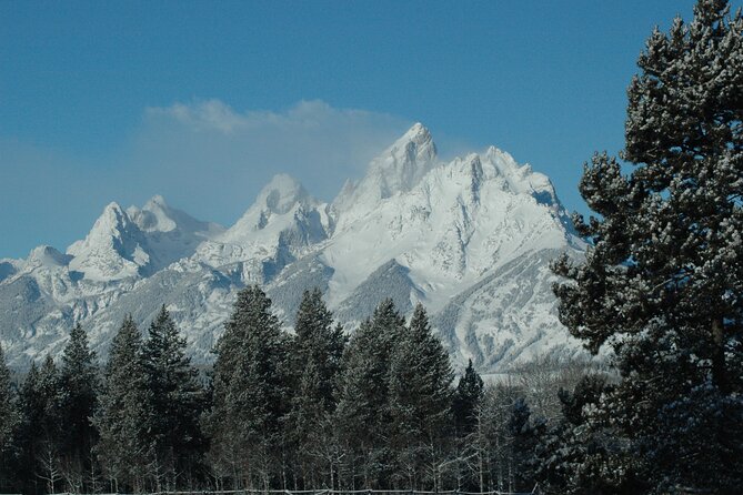 Grand Teton National Park Private Sunrise Tour - How the Tour Uses Private Transportation to Enhance the Experience