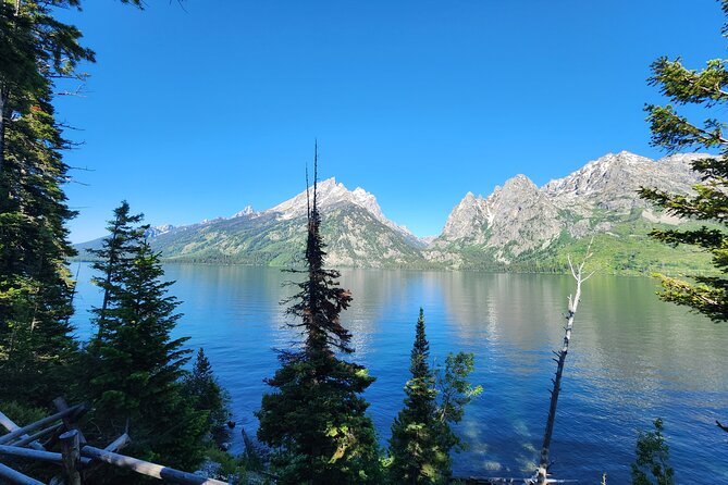 Grand Teton National Park Private Sunrise Tour - The Guide Experience and Tour Flexibility