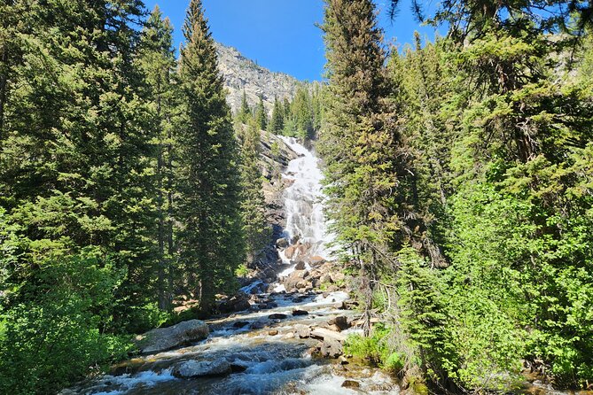 Grand Teton National Park Private Sunrise Tour - Practical Considerations and Important Details