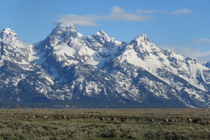 Grand Teton National Park - PRIVATE Sunrise Tour from Jackson Hole - Expert Guides and Personal Attention