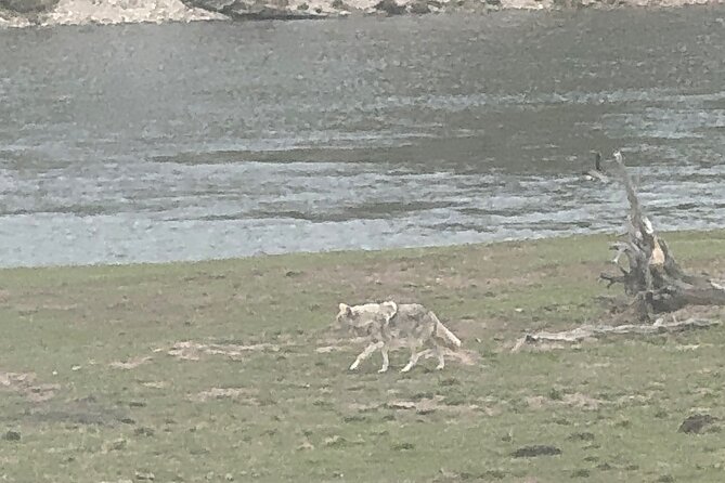Grand Teton Sunrise Scenic Tour - Logistics and Accessibility