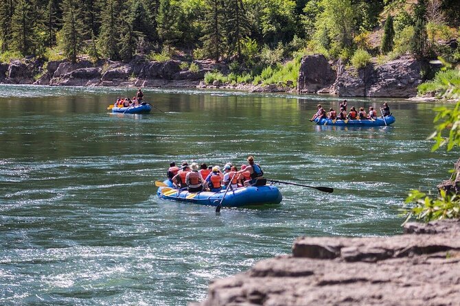 Grand Teton Views 7-Mile Snake River Scenic Float in Jackson - Flexibility and Cancellation Policy
