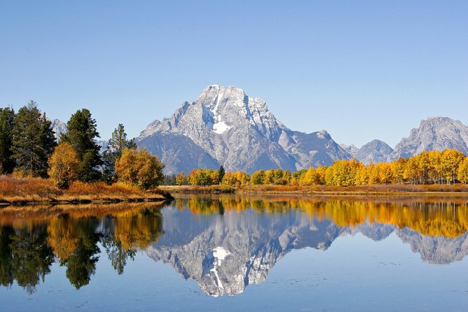 Grand Teton Wildlife Safari Tour - Moose Wilson Road and Antelope Flats